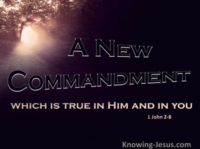 1 John 2:8